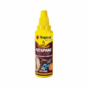Ketapang Extract TROPICAL 30 ml